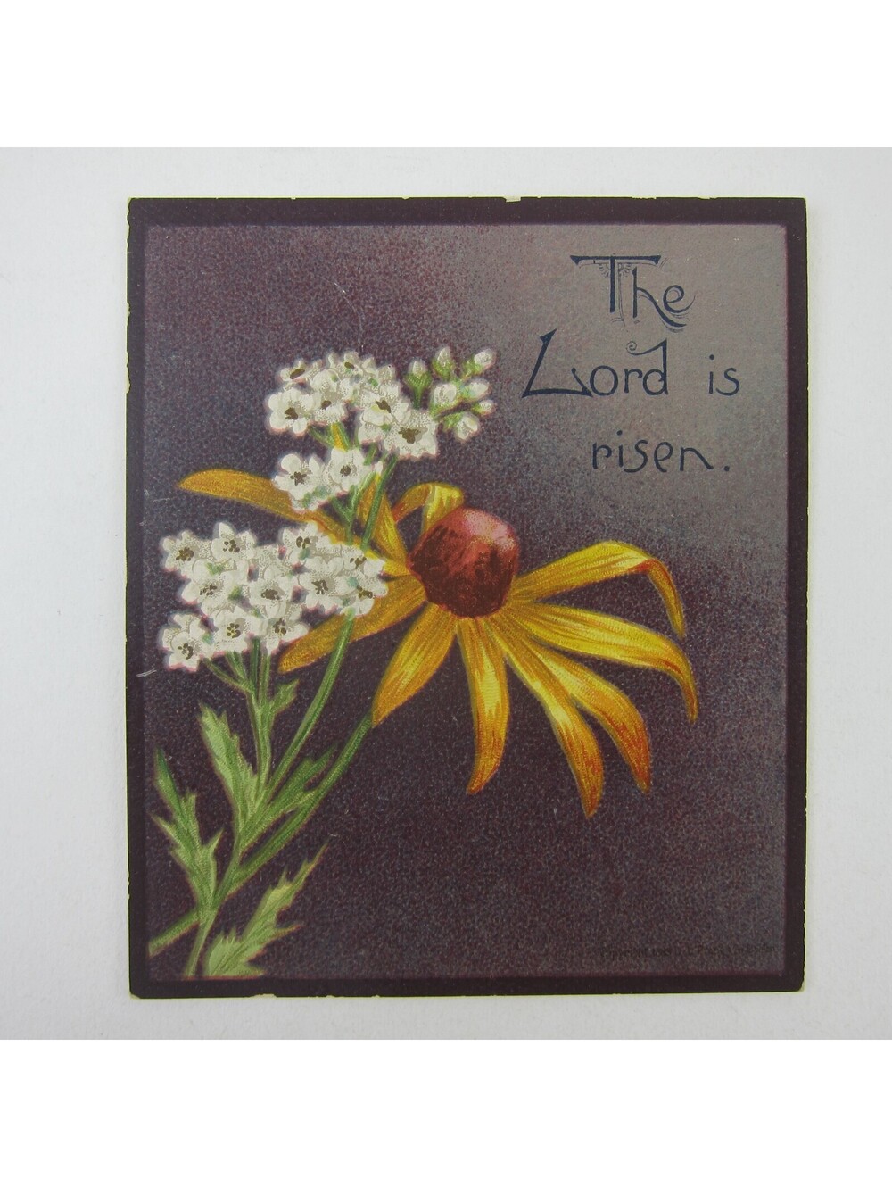 Victorian Greeting Card Easter Black Eyed Susan Yellow & White Flowers Antique